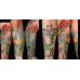 TATTOOS. BRIGHT COLORS - OUTLET